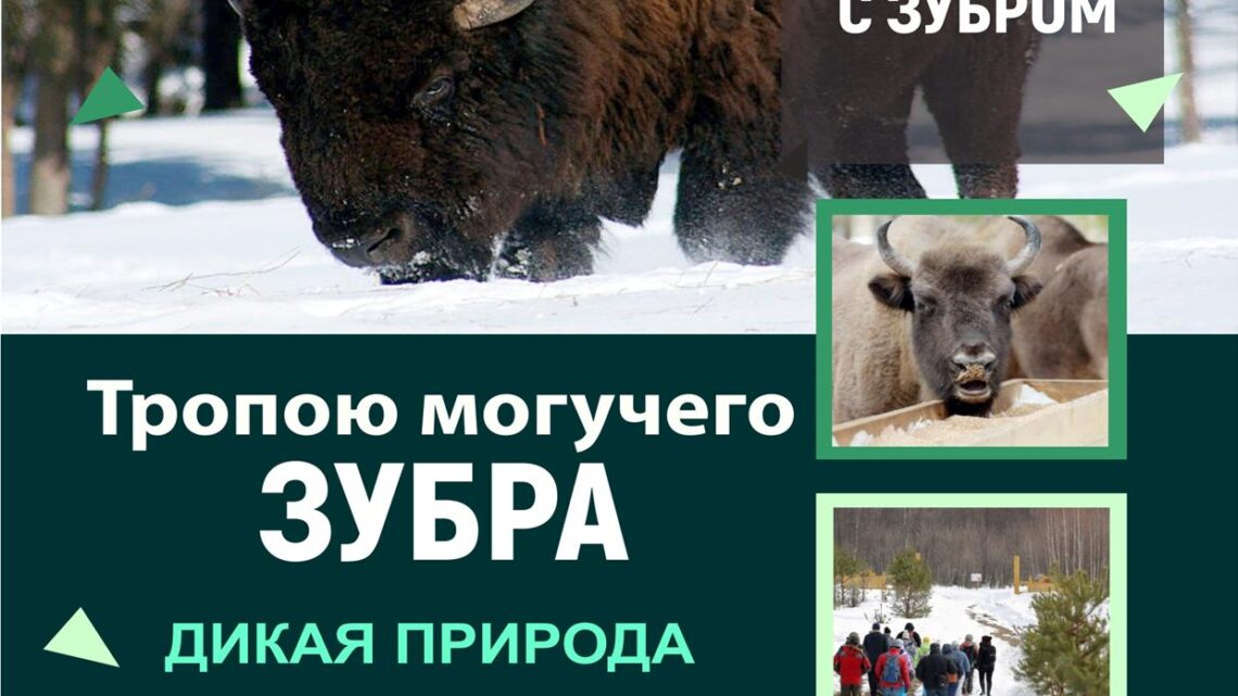 Экскурсия «Тропою могучего зубра»